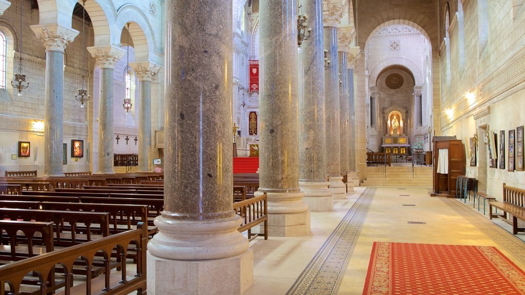 Saint Martin Basilica which includes a church or cathedral, heritage elements and interior views