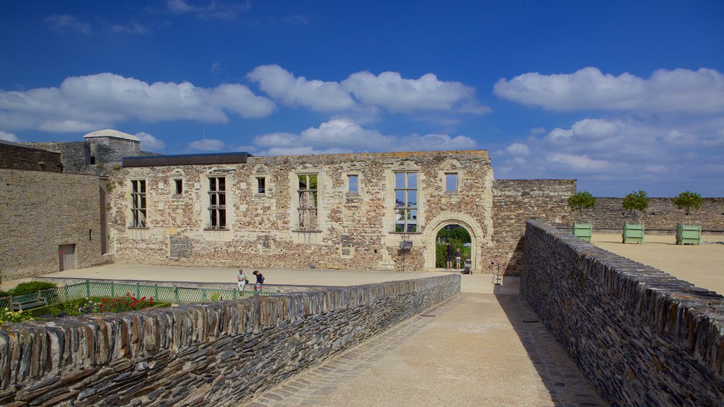 Chateau d\'Angers ofreciendo elementos del patrimonio