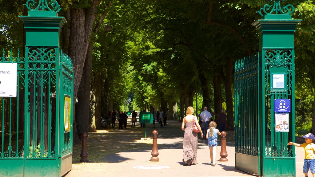 Parc de la Pepiniere which includes a park as well as a family