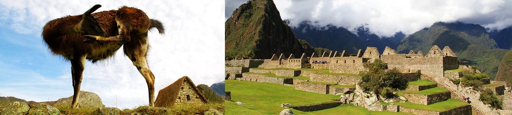 Machu Picchu66.docx.jpg