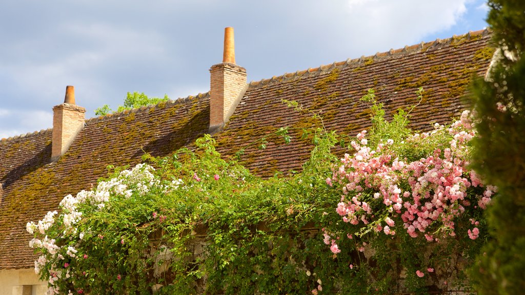 Prieure de St-Cosme showing flowers