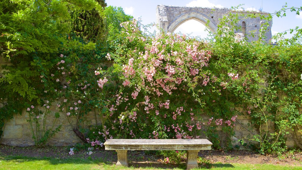 Prieure de St-Cosme mostrando flores e um parque