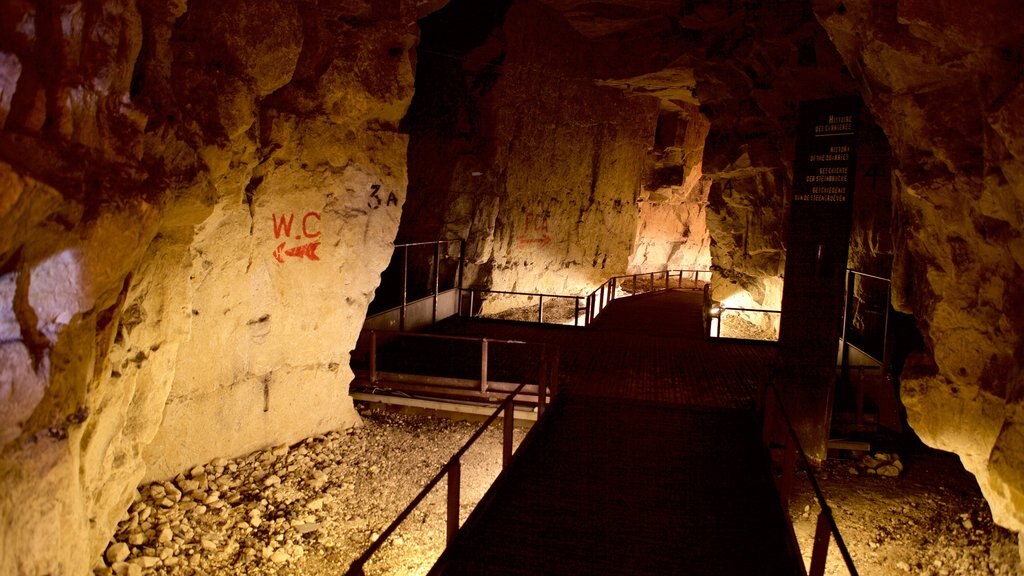 Wellington Quarry Museum featuring caves