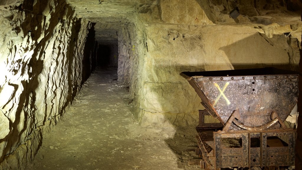 Wellington Quarry Museum featuring heritage elements and caves