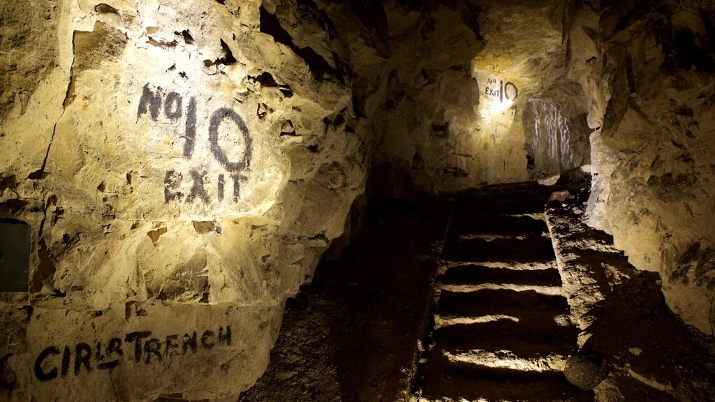 Wellington Quarry Museum showing caves and heritage elements