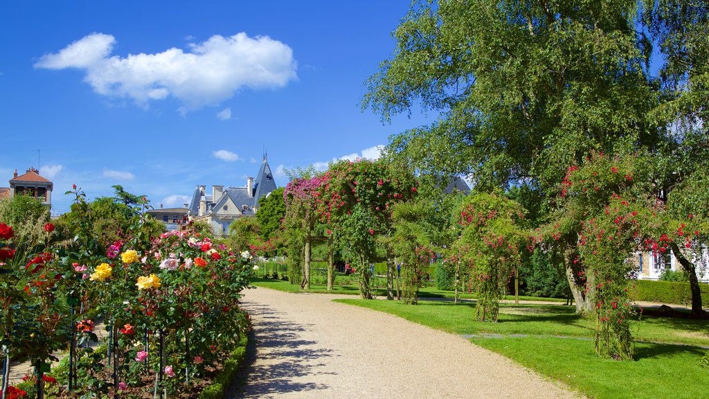 Parc du Thabor montrant parc et fleurs