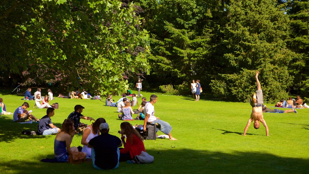 Jardines Botánicos de Thabor mostrando un parque y también un pequeño grupo de personas