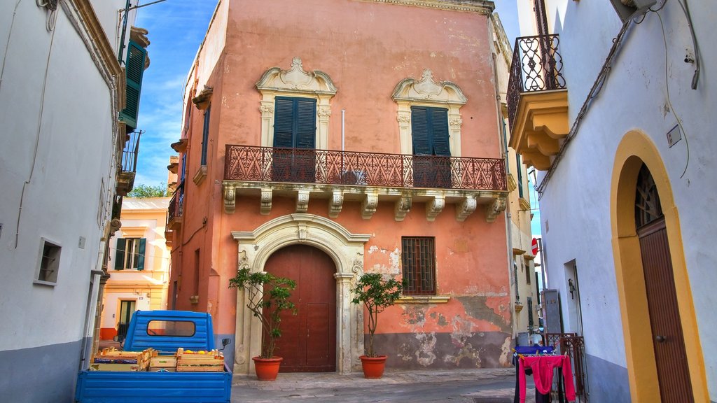 Gallipoli showing a house and heritage elements