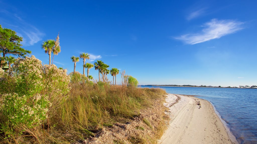 Upper Grand Lagoon showing tranquil scenes, a lake or waterhole and a sandy beach