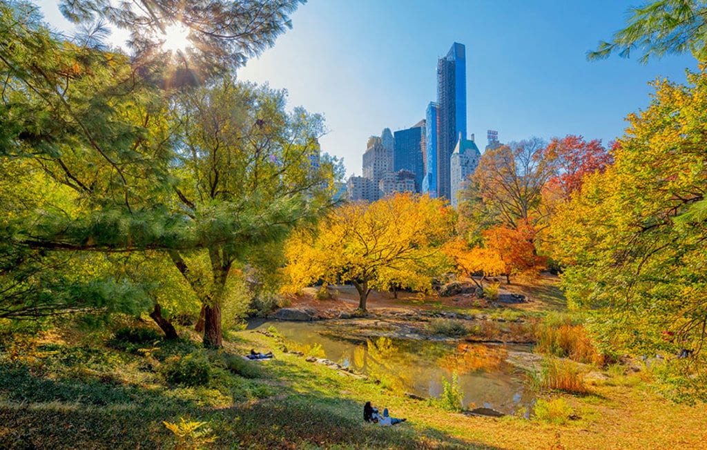 central_park.jpg