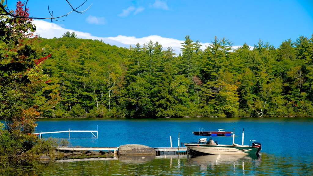 Stoneham which includes boating, a lake or waterhole and forests