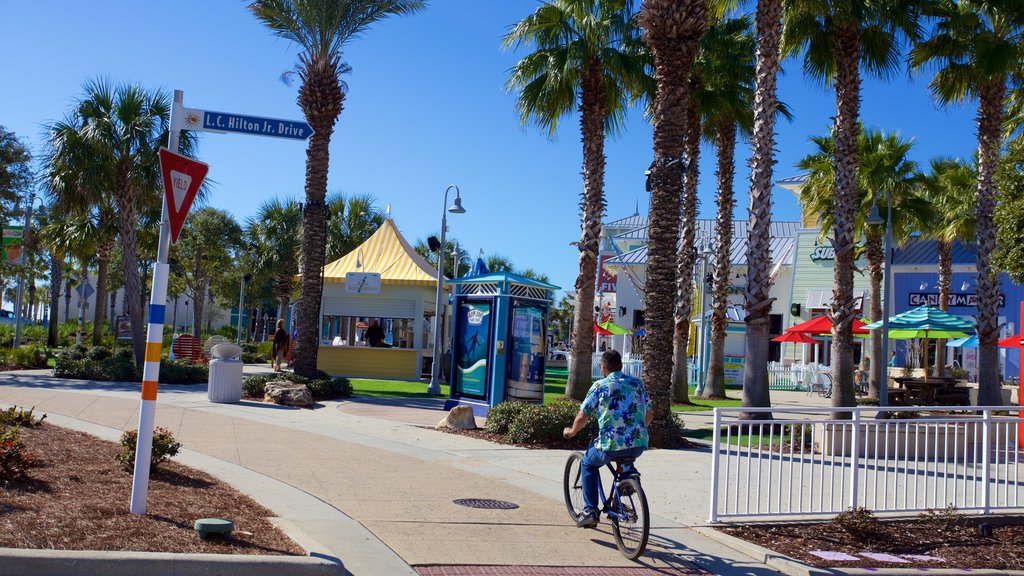 Pier Park showing rides as well as an individual male