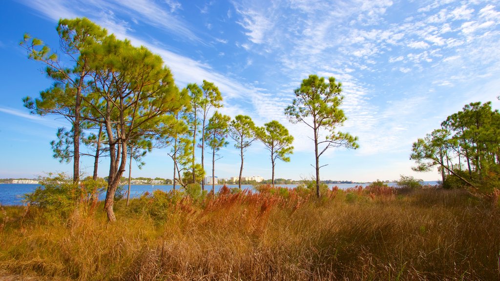 St. Andrews State Park showing a lake or waterhole and tranquil scenes