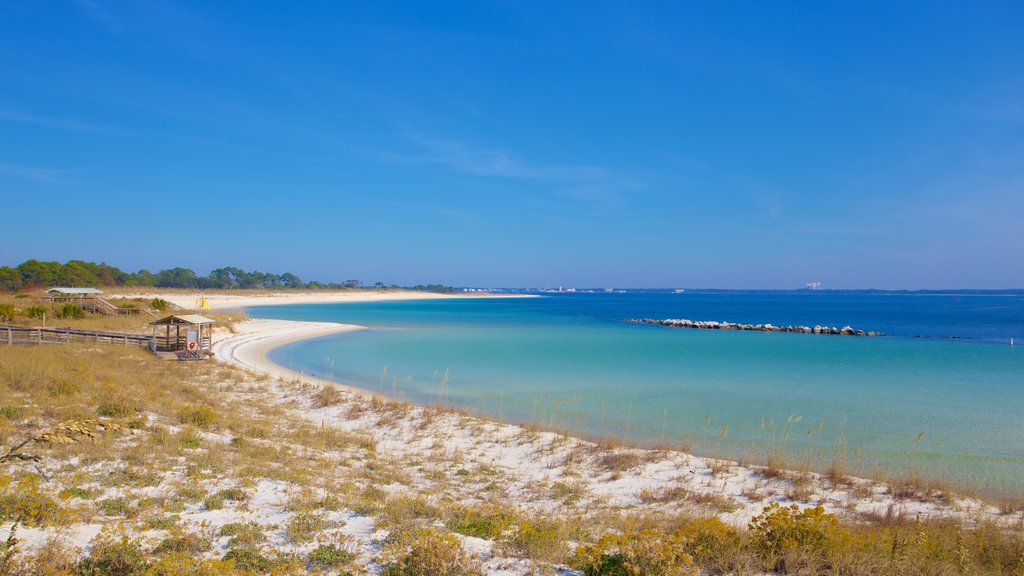 St. Andrews State Park showing a sandy beach and tranquil scenes