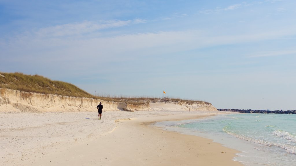 St. Andrews State Park featuring a beach as well as an individual male