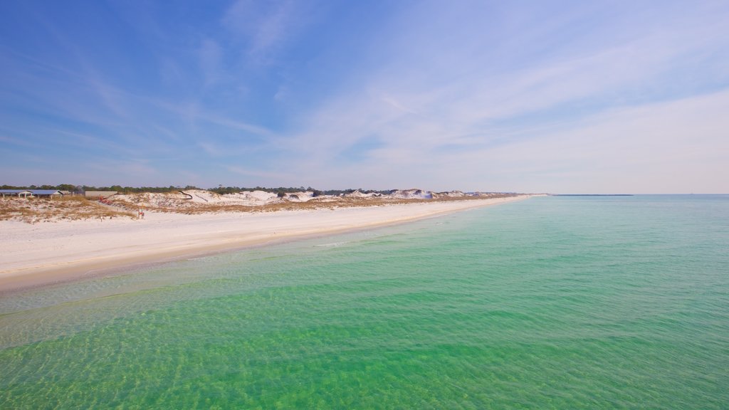 St. Andrews State Park que incluye una playa de arena