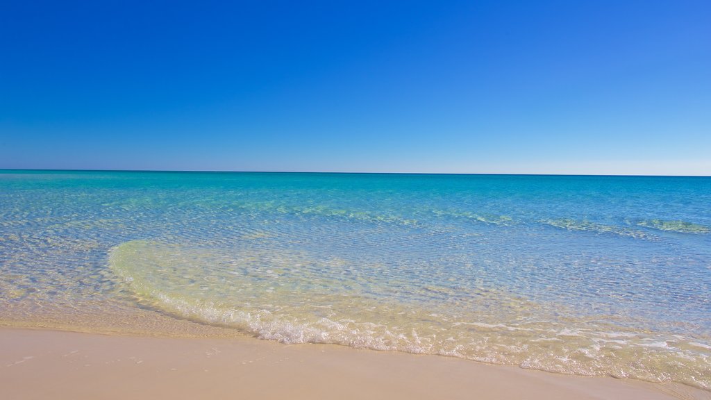 Grayton Beach mostrando una playa de arena