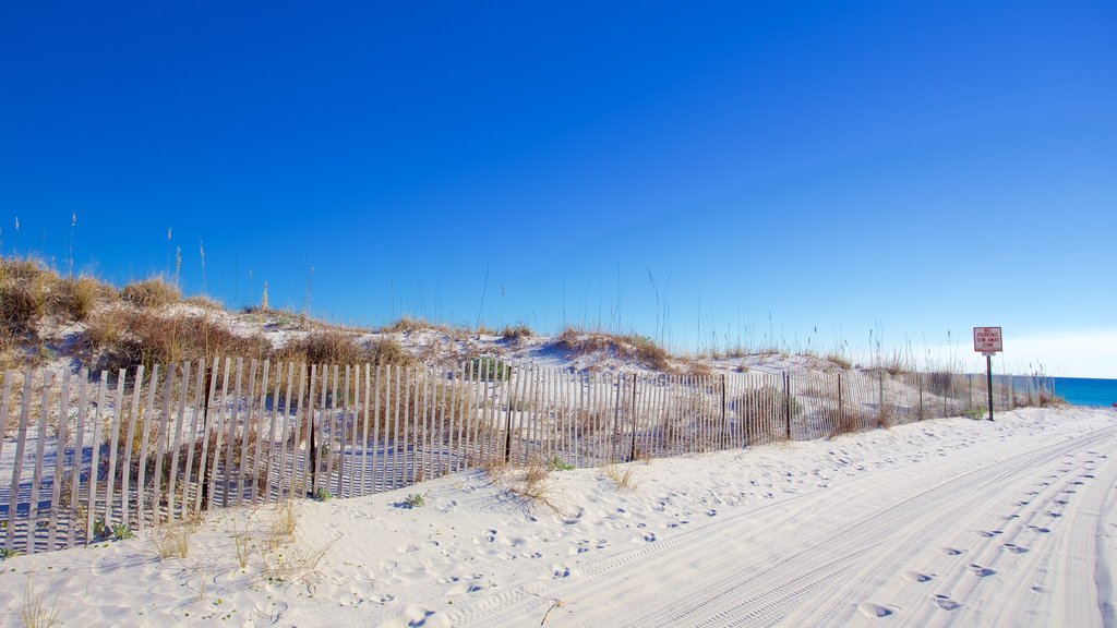 Grayton Beach mostrando una playa de arena