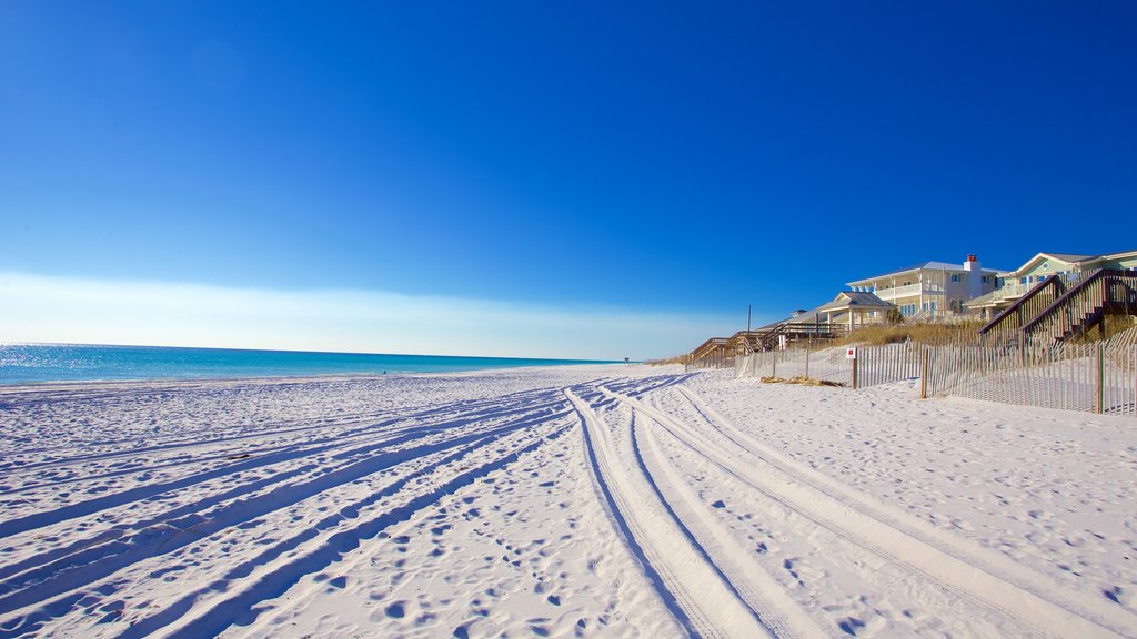 Grayton Beach State Park which includes a beach