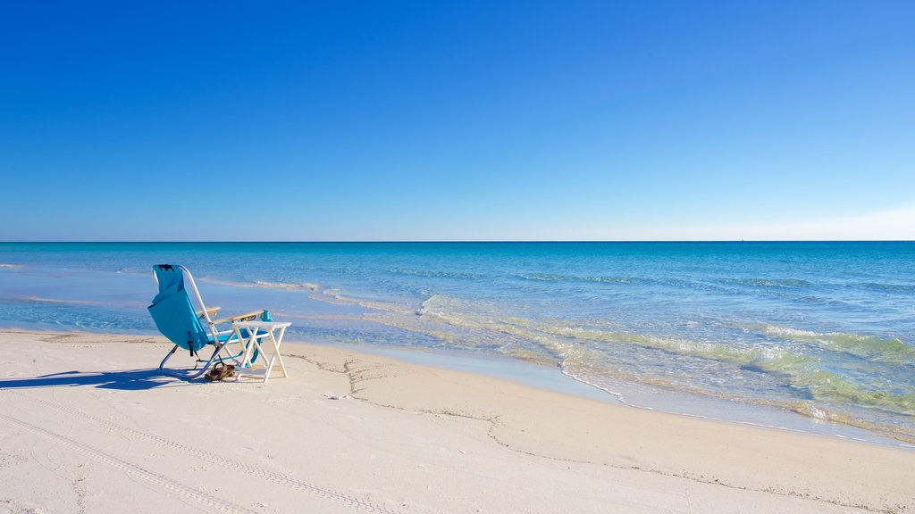 Grayton Beach State Park showing a sandy beach