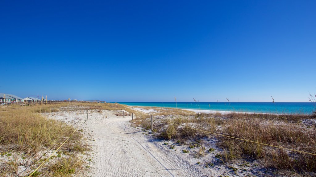 Henderson Beach State Park que inclui paisagens litorâneas