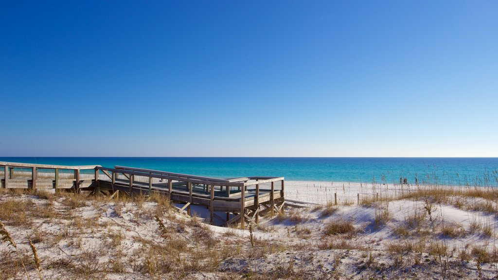 Henderson Beach delstatspark fasiliteter samt rolig landskap og sandstrand