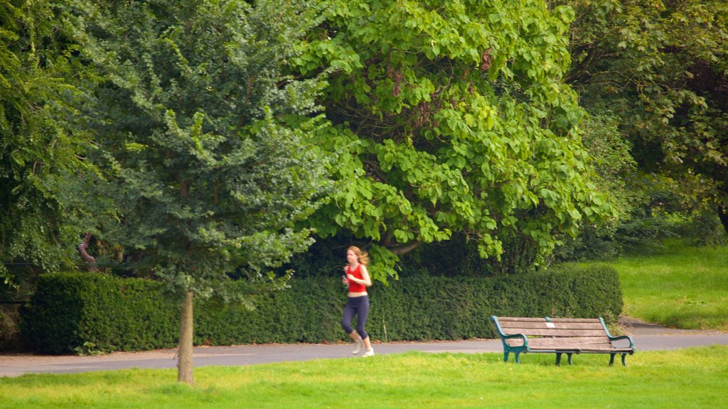 Preston Park que incluye un jardín y también una mujer