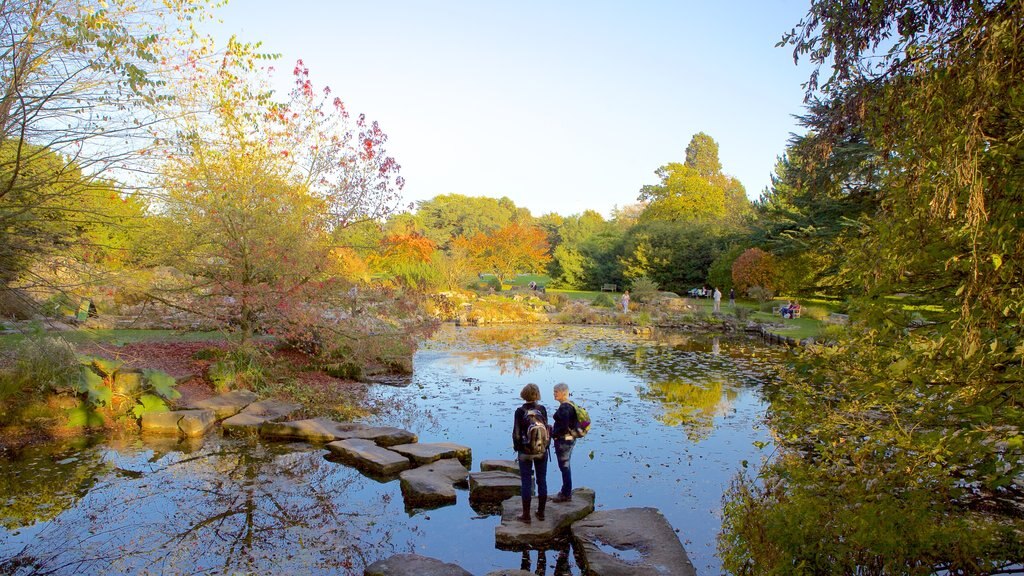 University Botanic Gardens which includes a park and a pond as well as a couple