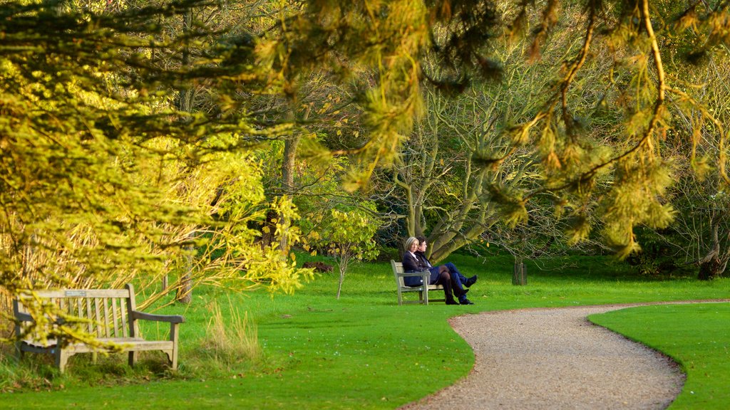 University Botanic Gardens montrant un jardin