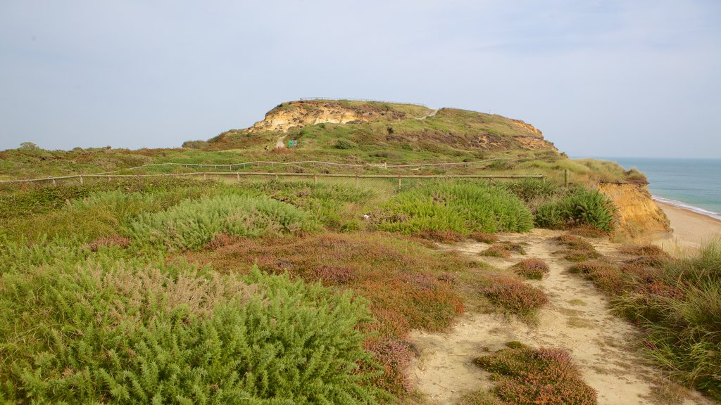 Hengistbury Head som omfatter fredfyldte omgivelser og en stenstrand