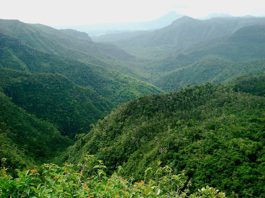 1200px-Black_River_Gorges_National_Park,_Mauritius.jpg