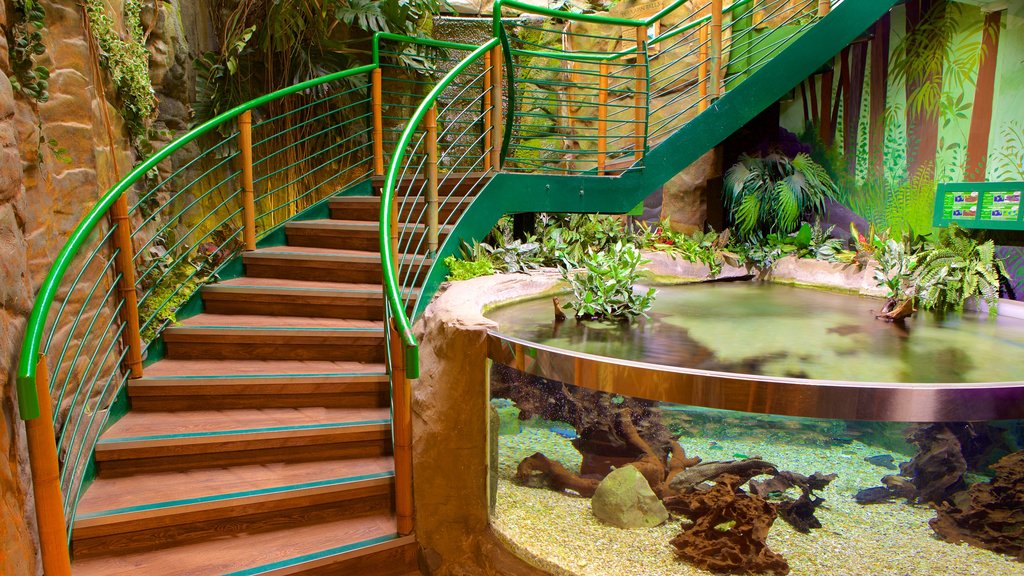 Oceanarium which includes marine life