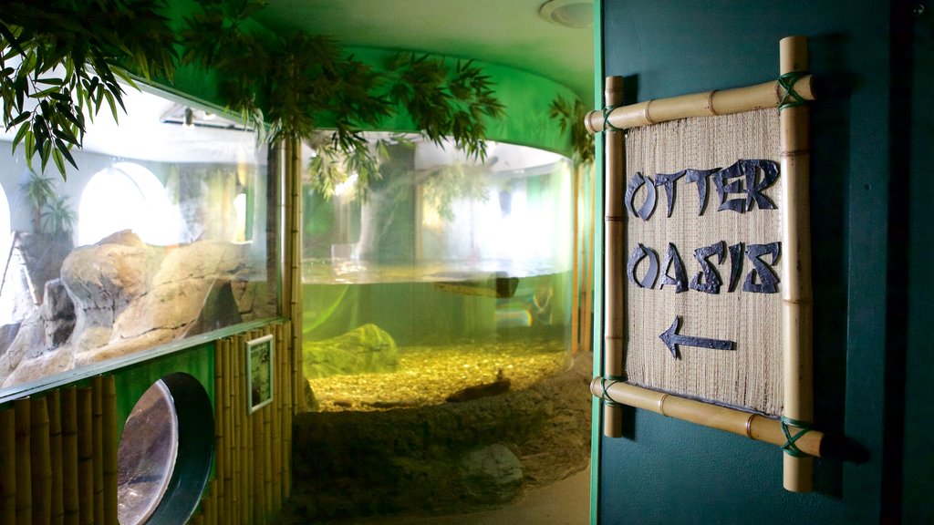 Oceanarium showing marine life and signage