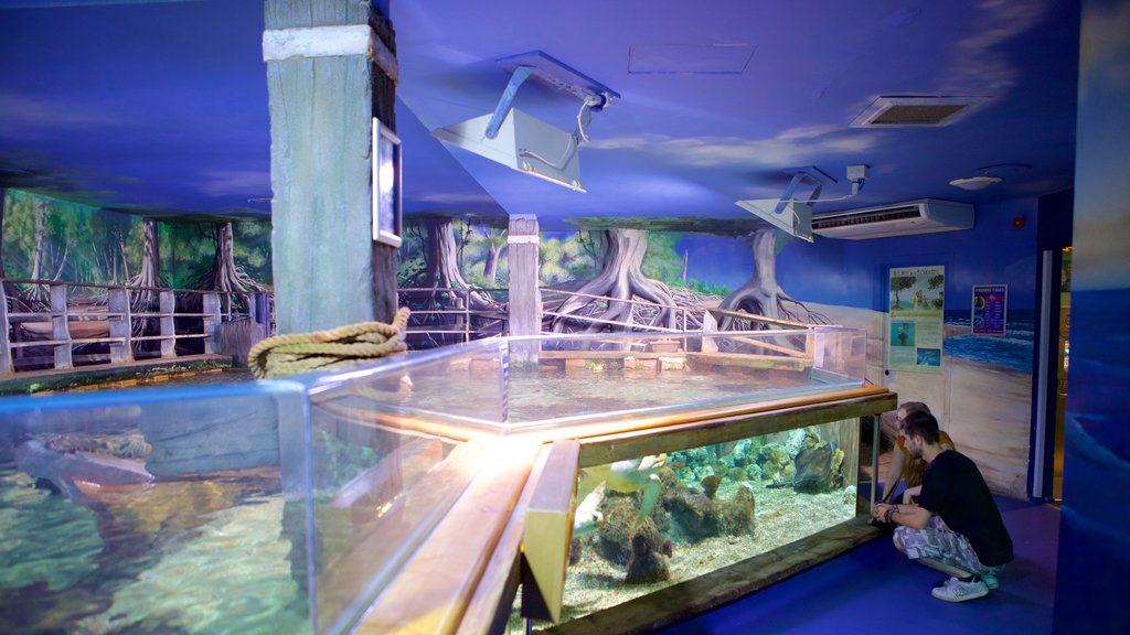 Oceanarium which includes marine life