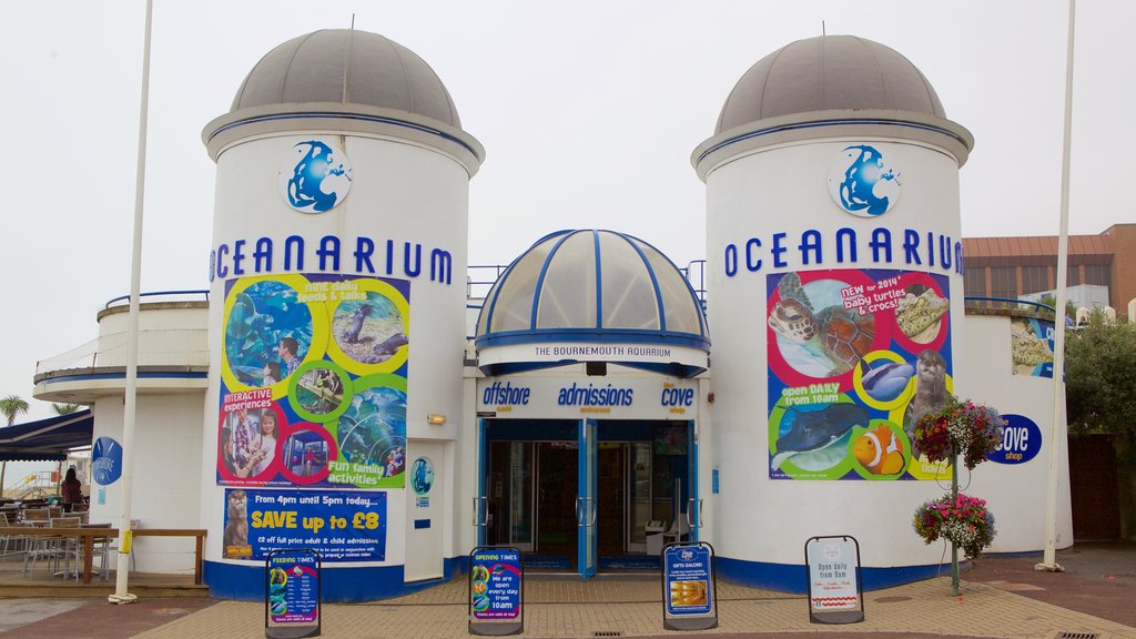 Oceanarium which includes marine life