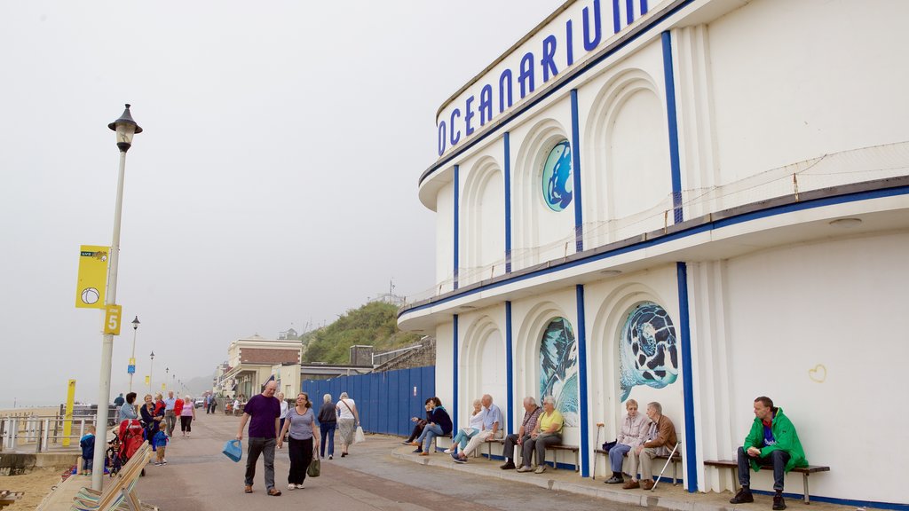 Oceanarium que incluye vida marina y también un pequeño grupo de personas