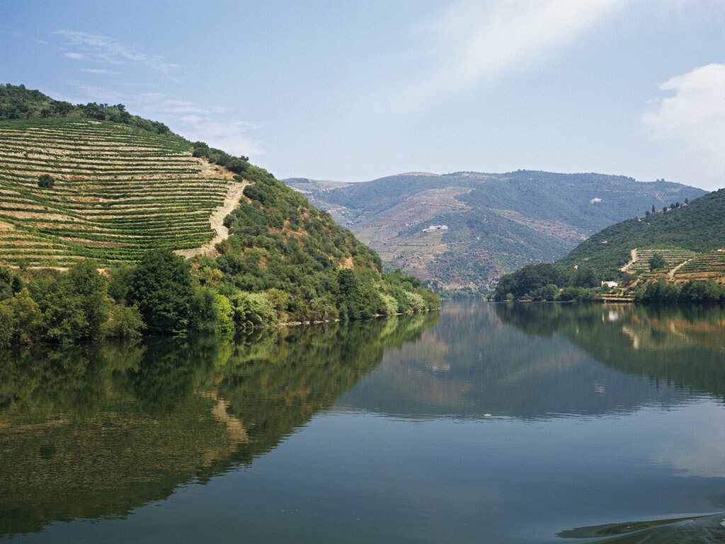 douro valley.jpg
