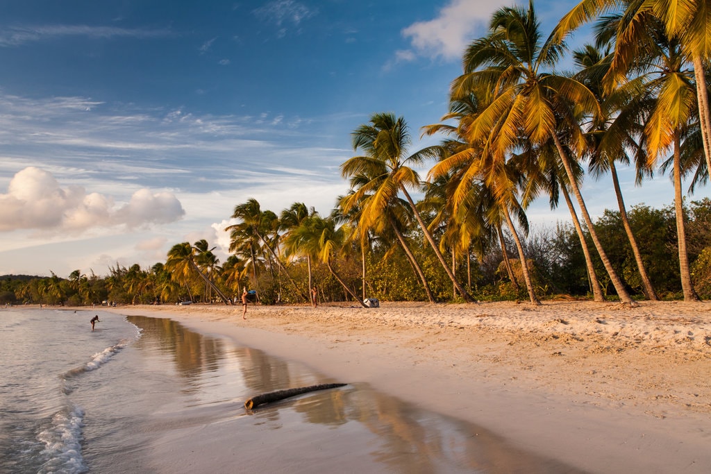 Martinique Sainte-Anne Shutterstock.jpg