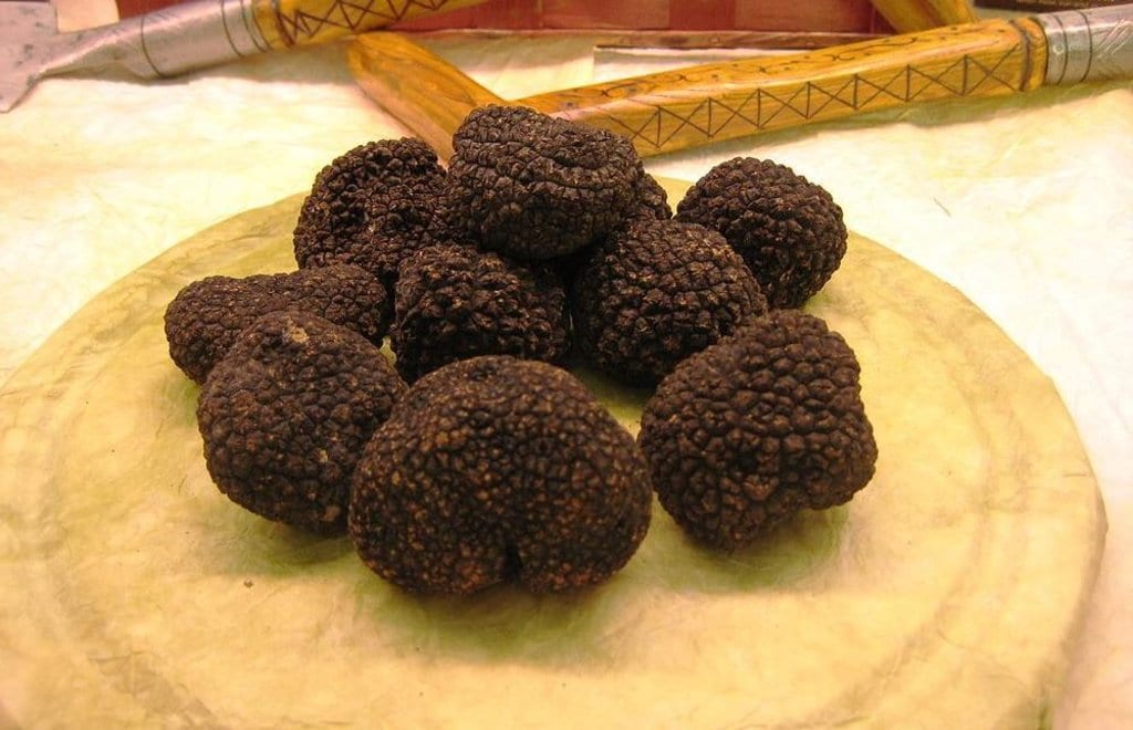 Truffe noire DP.JPG