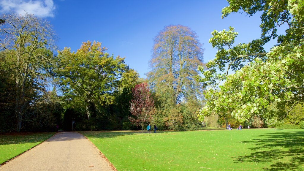 Anglesey Abbey showing a park