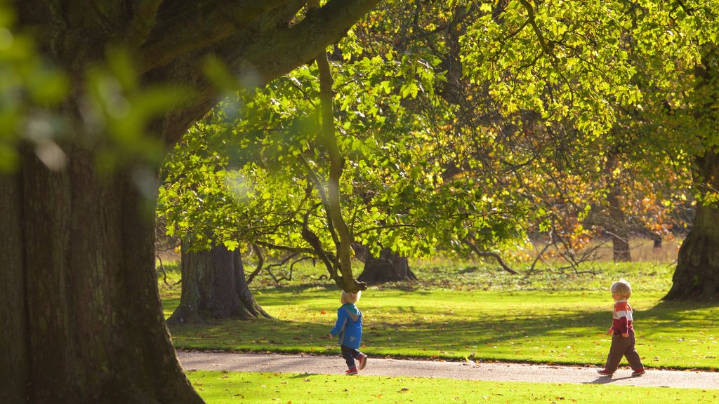 Anglesey Abbey featuring a garden as well as children