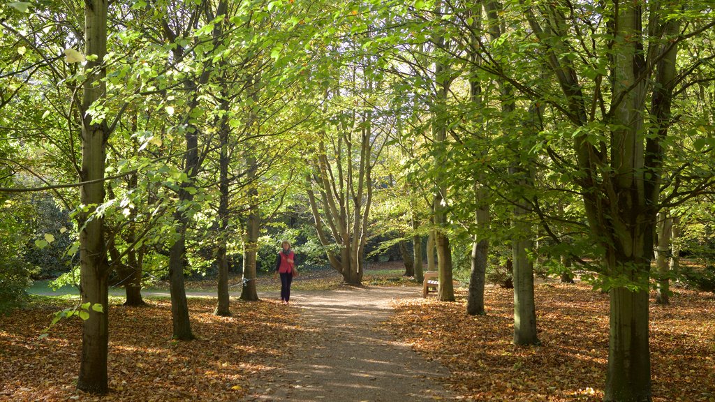 Abadia de Anglesey mostrando um jardim e florestas