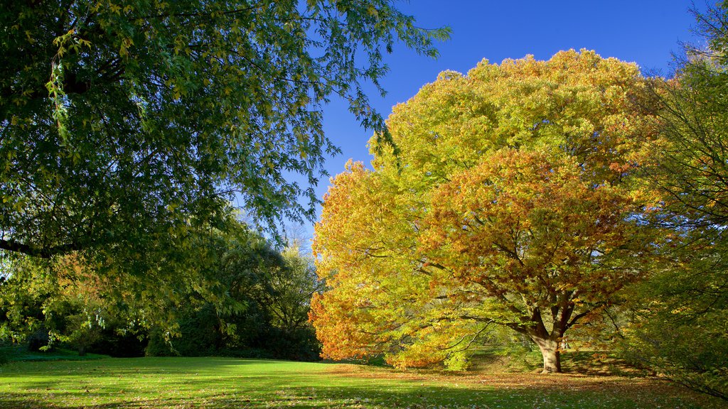 Abadía de Anglesey ofreciendo hojas de otoño y un parque