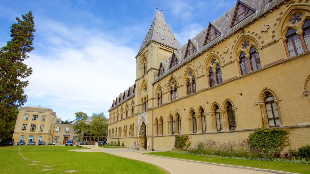 Oxford University Museum of Natural History mostrando elementos patrimoniales, un parque y arquitectura patrimonial