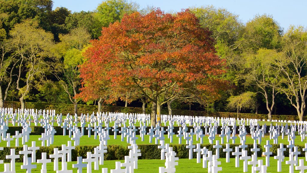 Cambridge American Cemetery and Memorial featuring a cemetery