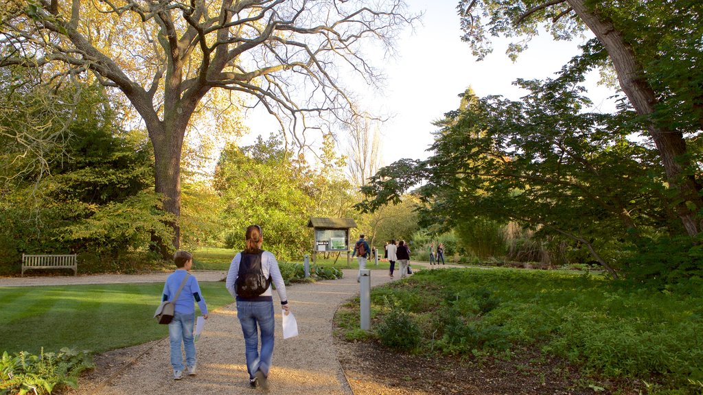 University Botanic Gardens mostrando un parque y también un pequeño grupo de personas