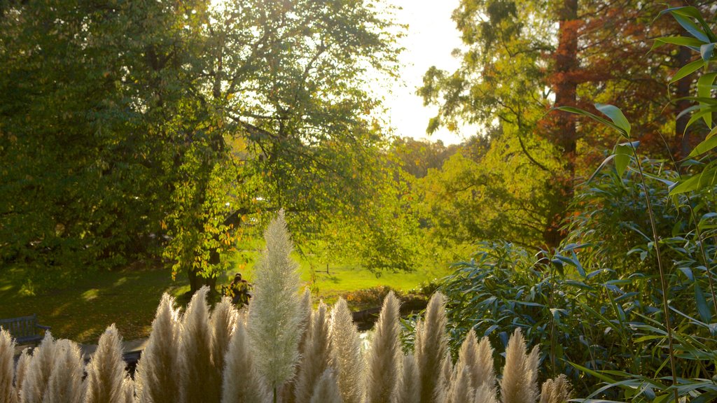 University Botanic Gardens ofreciendo un parque