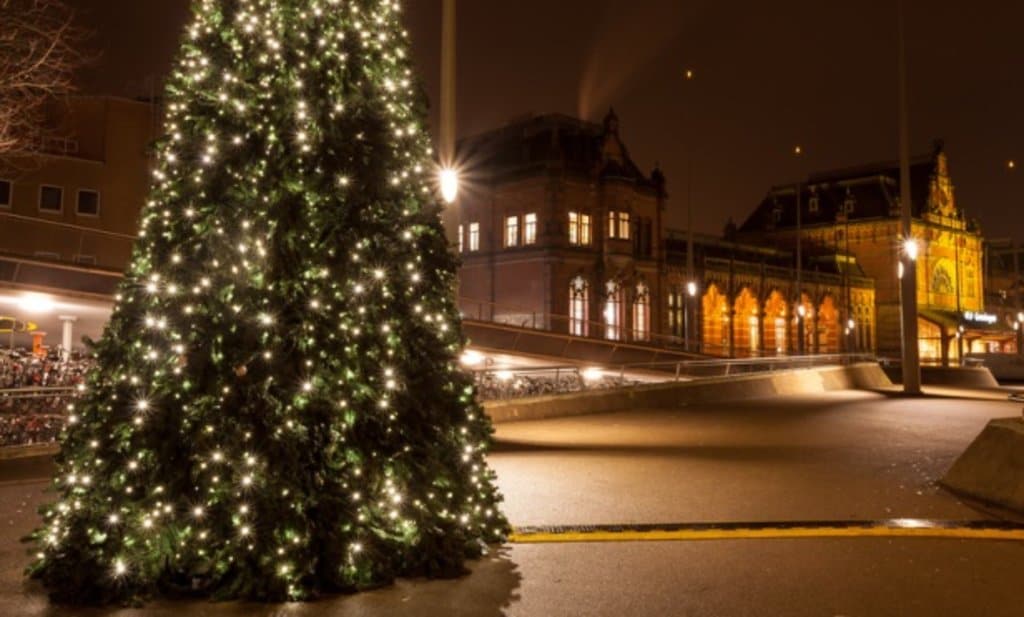sapin_de_noel_a_groningue (1).jpg