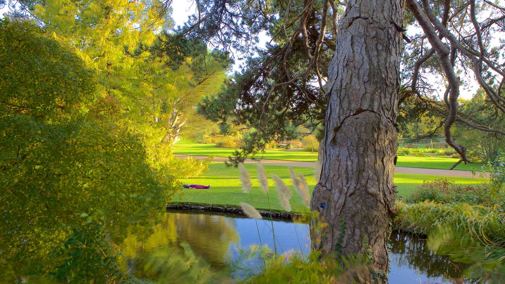 University Botanic Gardens showing a river or creek and a garden