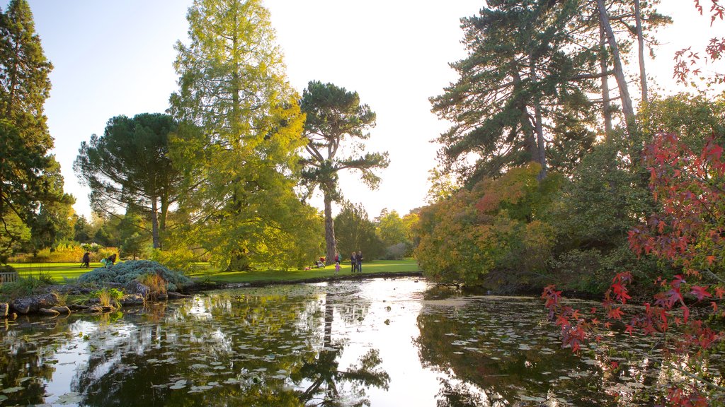 University Botanic Gardens showing a river or creek and a park